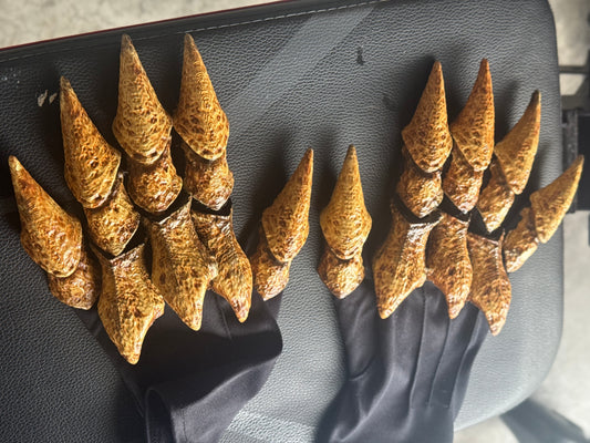 Bone Claws