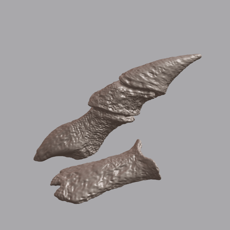 BONE CLAWS (STL)